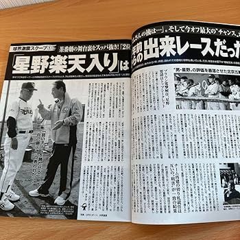 Amazon.co.jp: フラッシュ 2010年10月 前田敦子 no.1117 : おもちゃ