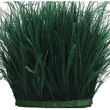 THARAHT Blackish Green Ostrich Feathers Trim Sewing Fringe 2Yard 4-6inch for DIY Dress Sewing Craft Clothing Latin Wedding Dress Decoration Ostrich Feather Trim