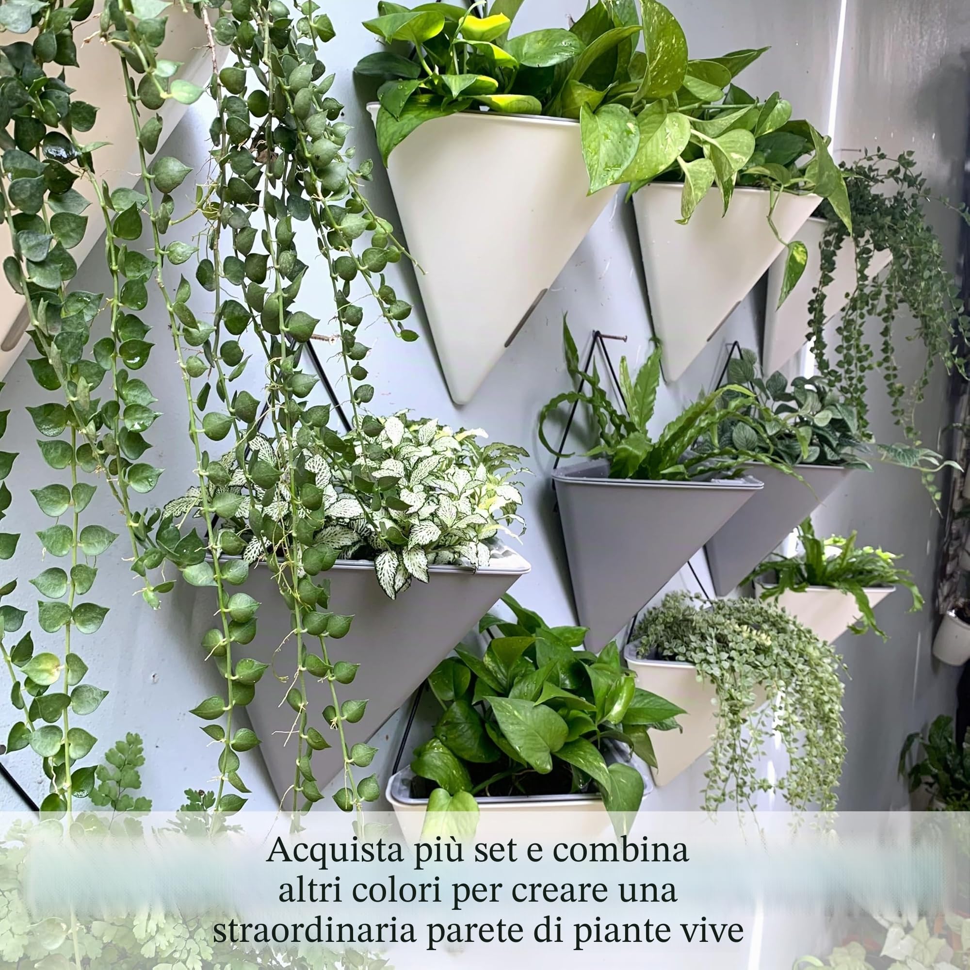 LaLaGreen - Fioriera da parete per interni (30,5 cm, 4 pezzi) grandi piante autoirriganti | Vaso da fiori geometrico nero da appendere con gancio in metallo, moderno ed elegante supporto da parete per piante grasse