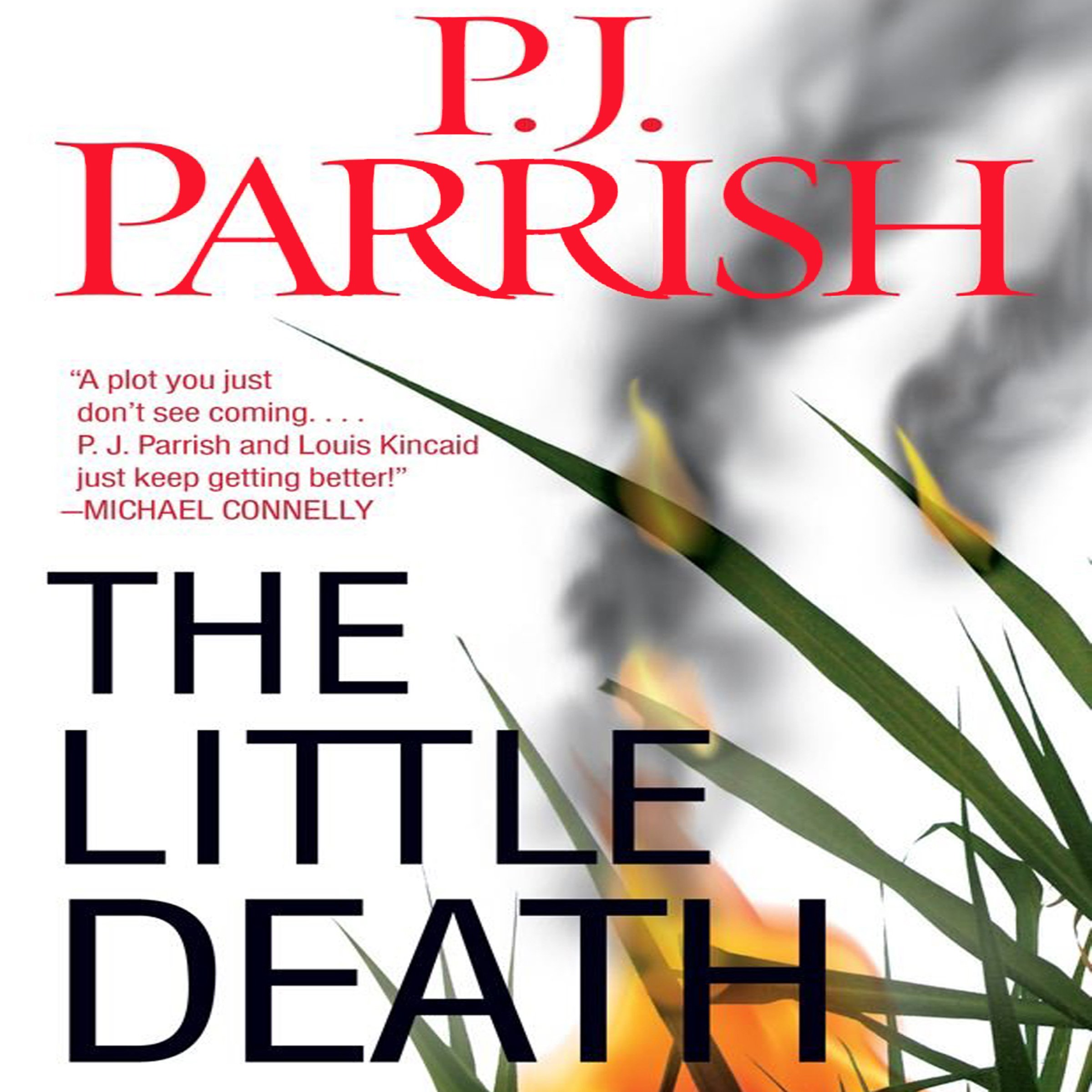 Cover art for The Little Death