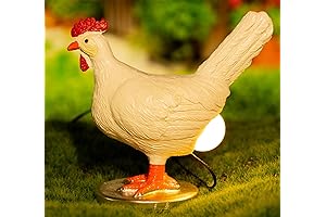 Chicken Egg Night Light