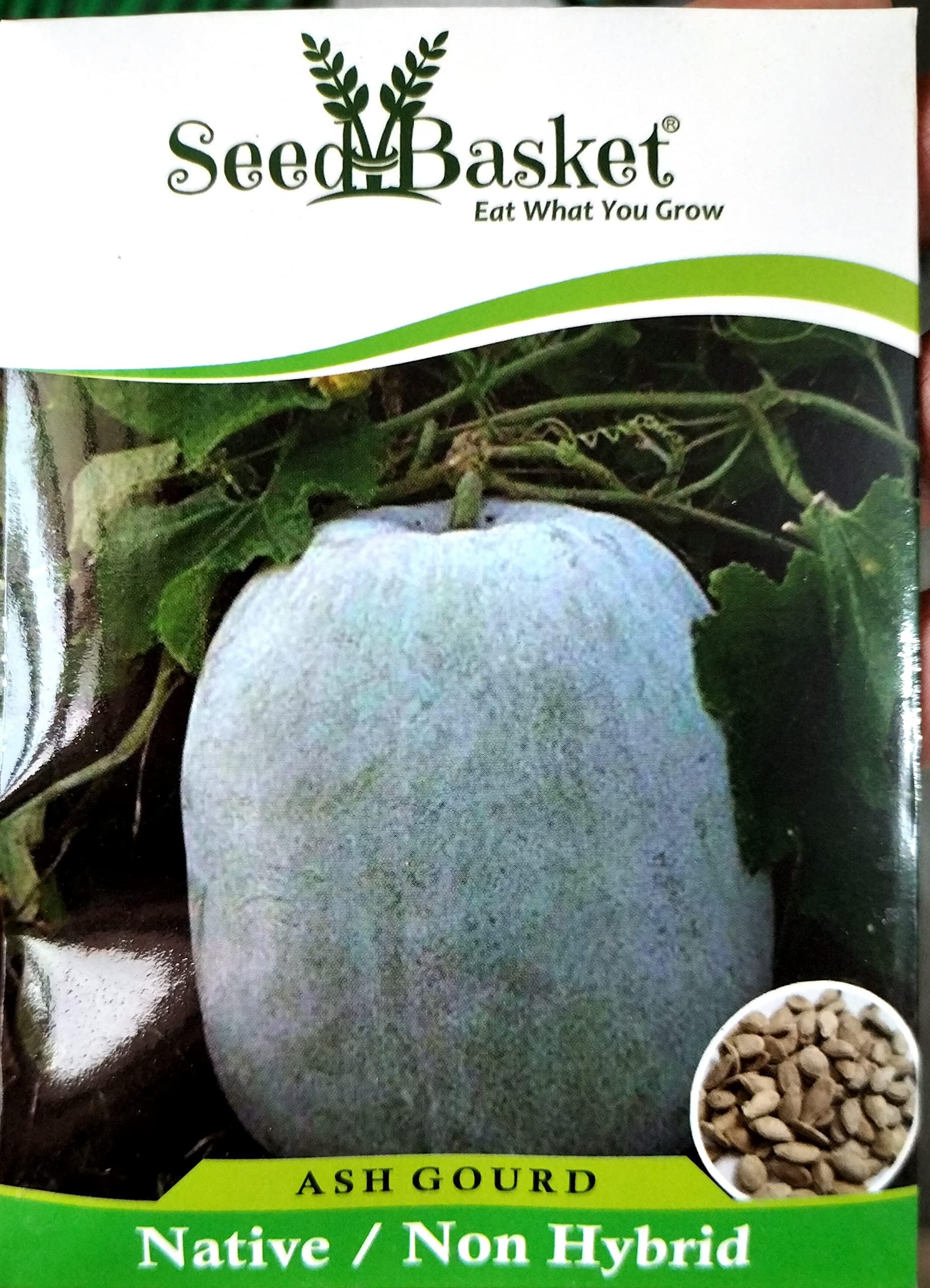 Seed Basket Desi/Native/Non-GMO Ash Gourd Seeds for Home and Kitchen and Vegetable Gardening | 50 Seeds | Best in Germination | Free Growing Instruction Manual