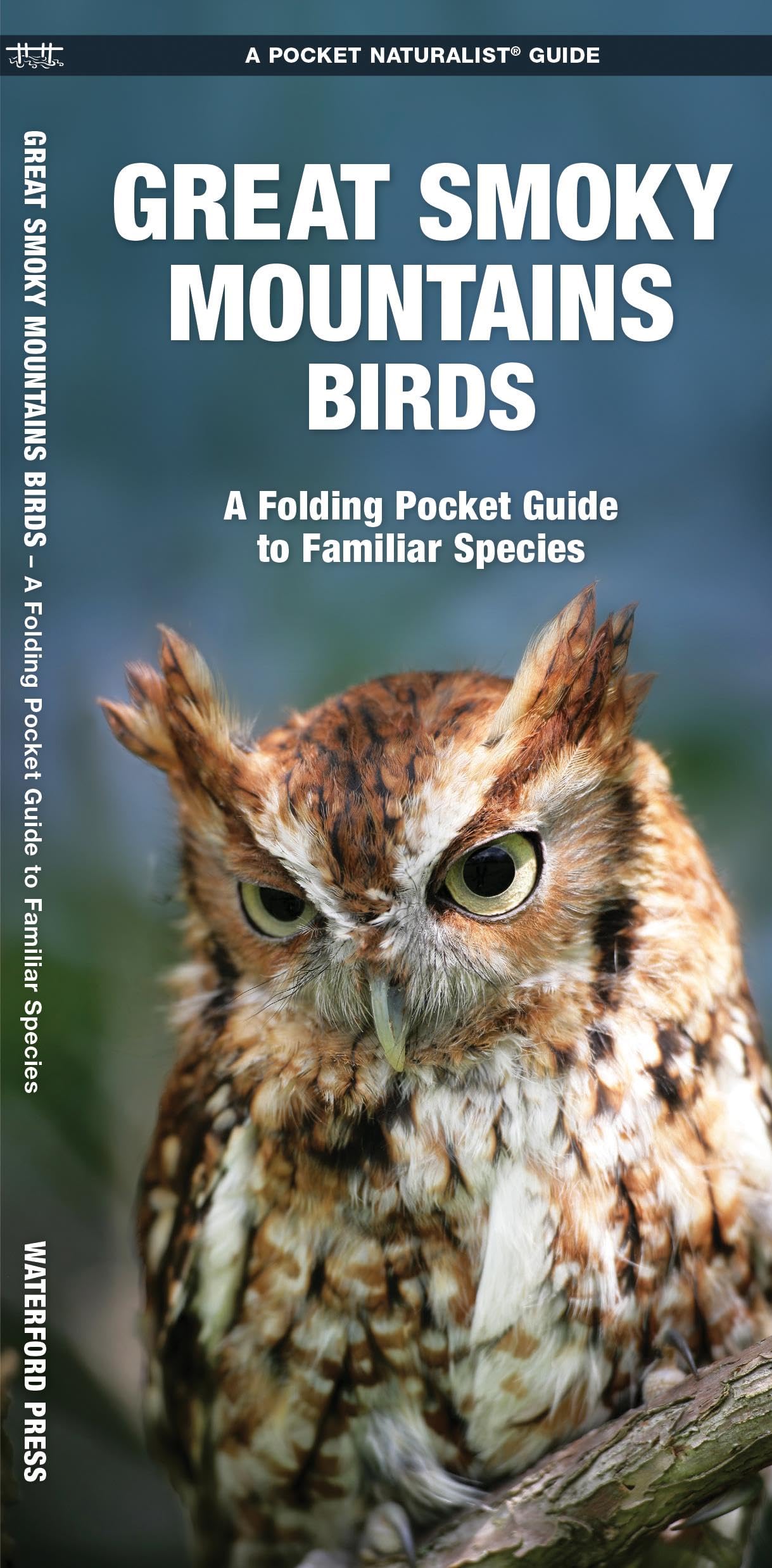 Great Smoky Mountains Birds: An Introduction to Familiar Species (Nature Observation North America)