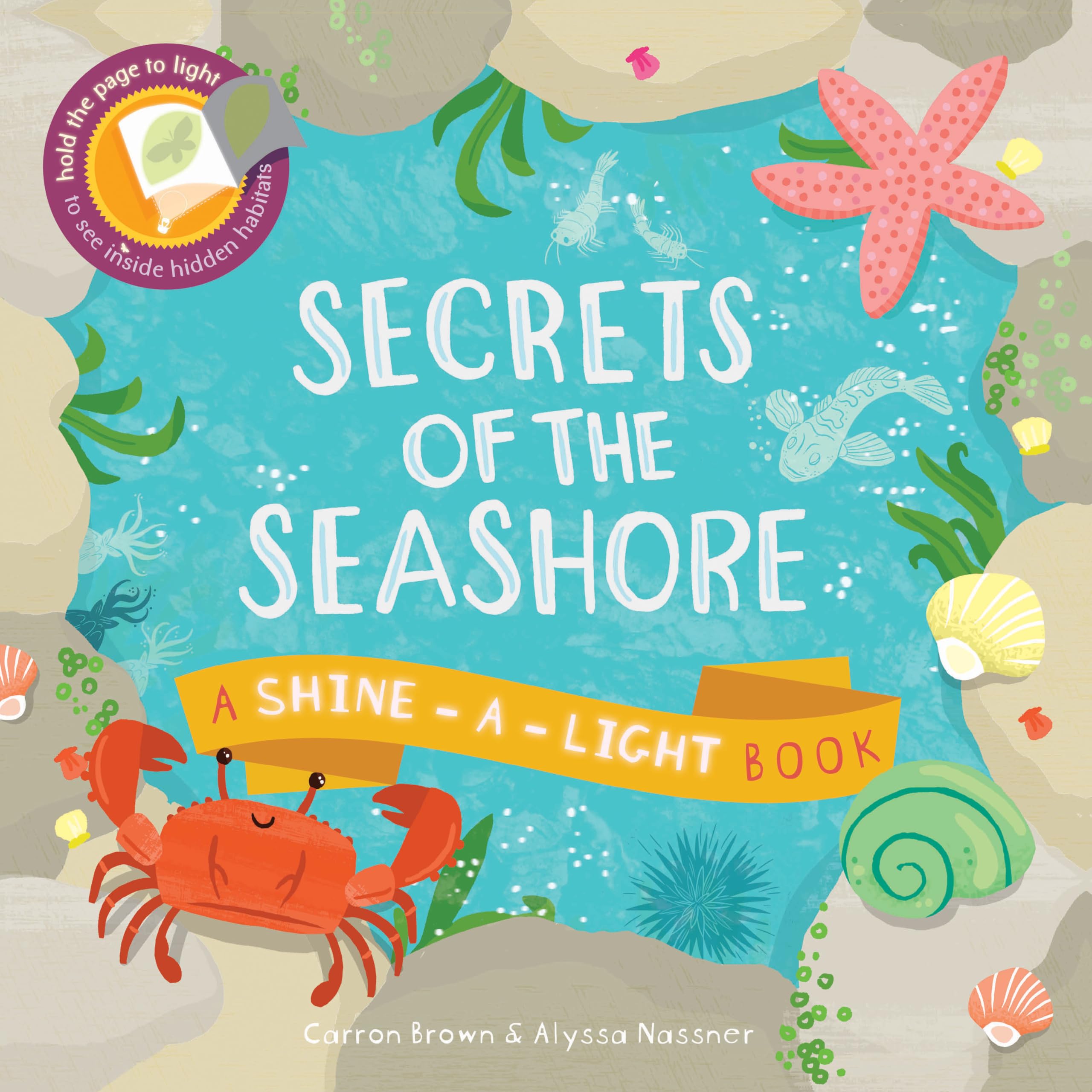 Secrets of the Seashore (Shine-A-Light) Hardcover – Picture Book, 1 Jun. 2014