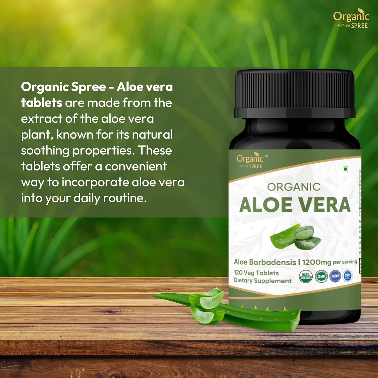ORGANIC SPREE Aloe Vera Tablets | Aloe Barbadensis(Aloe Vera) | USDA Organic | Supports Digestion & Skin Health* | Dietary Supplement 120tab