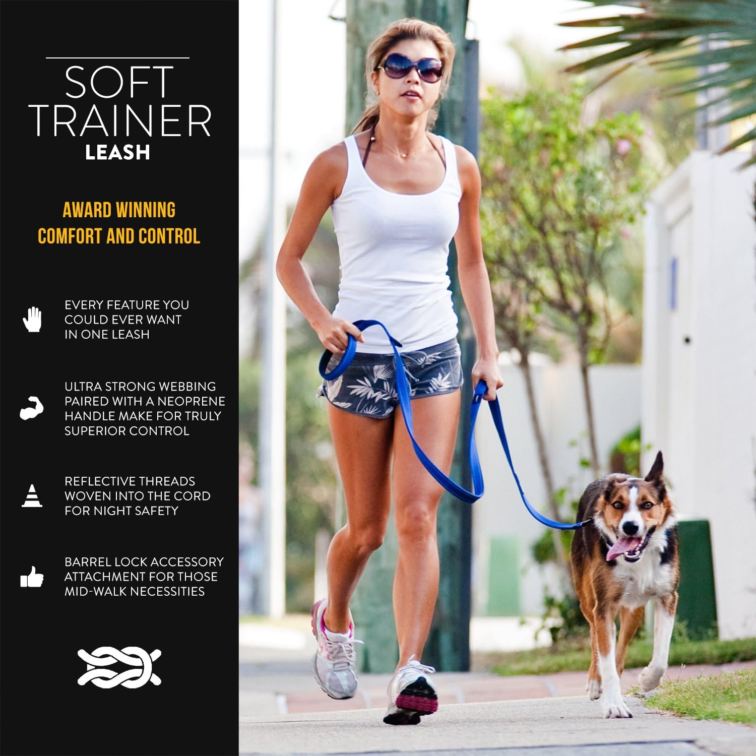 ezydog soft trainer