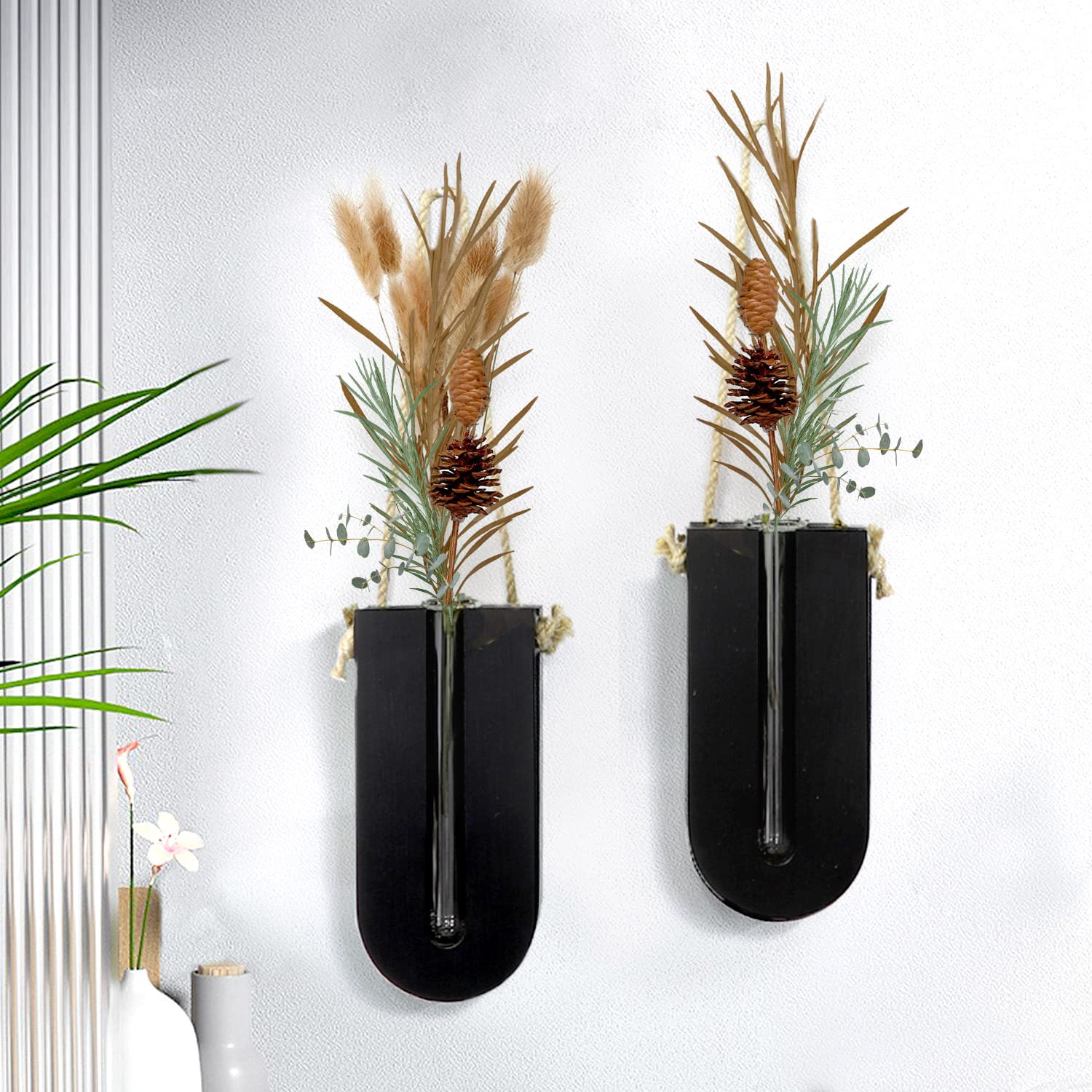Wall Propagation Planters, Wood Wall Hanging Planter for Propagation Plant Cutting, Wall Hanging Propagation Station Flower Tube Vase for Home, Plant Gifts for Women (Black Set of 2)