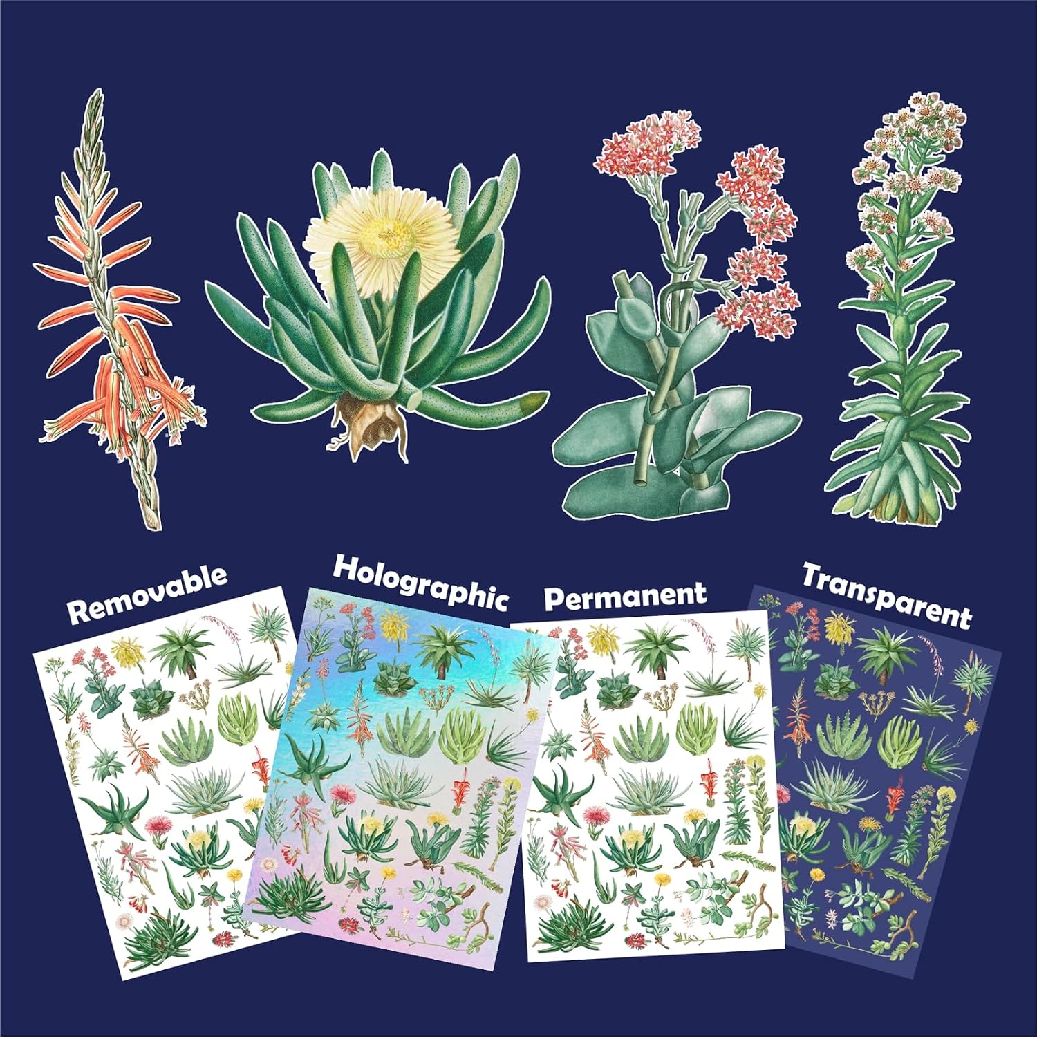 Stickers Pack (Over 150 Stickers) Arid Allure: Eclectic Collection of Succulent Stickers Featuring Aloe, Yucca, and Vibrant Echeveria Blossoms ~ Removable White Vinyl Hologram Transparent