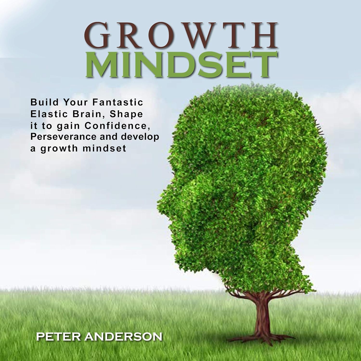 Growth Mindset: Build Your Fantastic Elastic Brain, Shape It to Build Confidence, Perseverance, and Develop a Growth Mindset