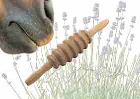 LaziRoll Faszienrolle Für Pferd & Hund - Massagerolle Aus Buche/Birke