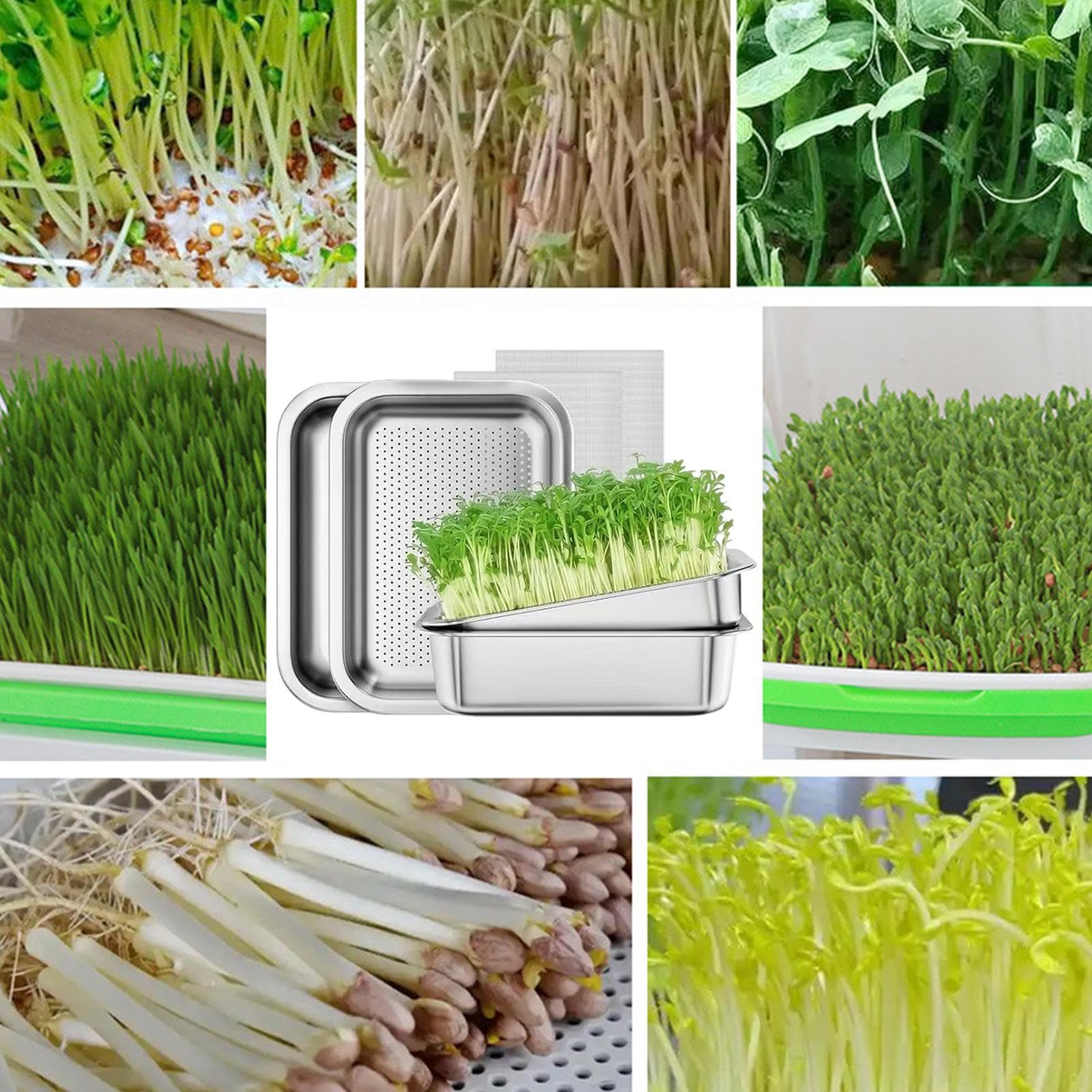 Sprossen Anzuchtschale Rostfreie Große Kapazität Edelstahl Anzuchtgerät | Kleine Anzuchtschale Für Pflanzen Und Sprossen Für Bohnen, Innen- Und Außenbereich, Garten, Zuhause Und