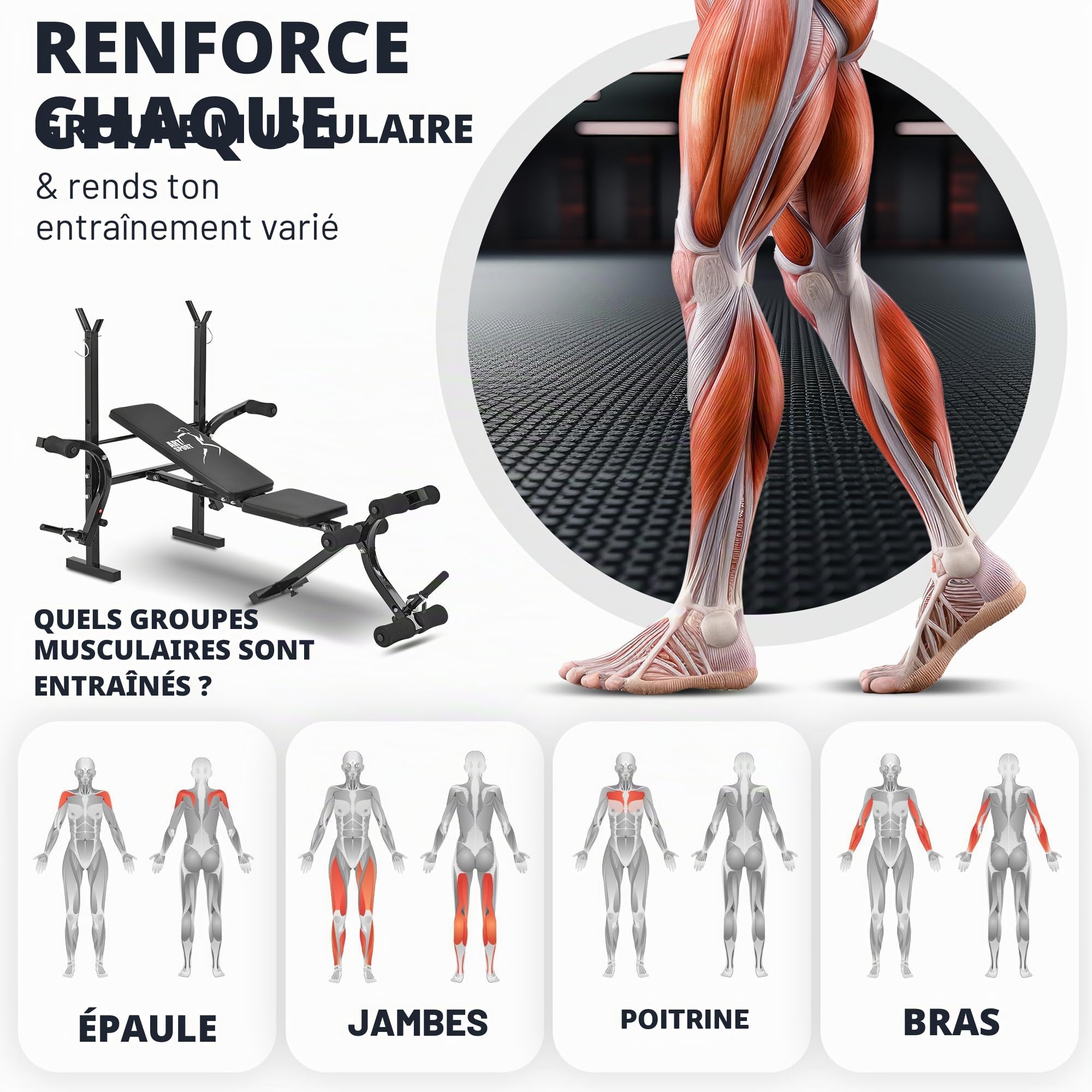 ArtSport banc de musculation multifonction ProfiGym1000 pliable et réglable en 4 positions - avec support pour haltères longs, barre curl pour les jambes et Butterfly — banc incliné banc plat