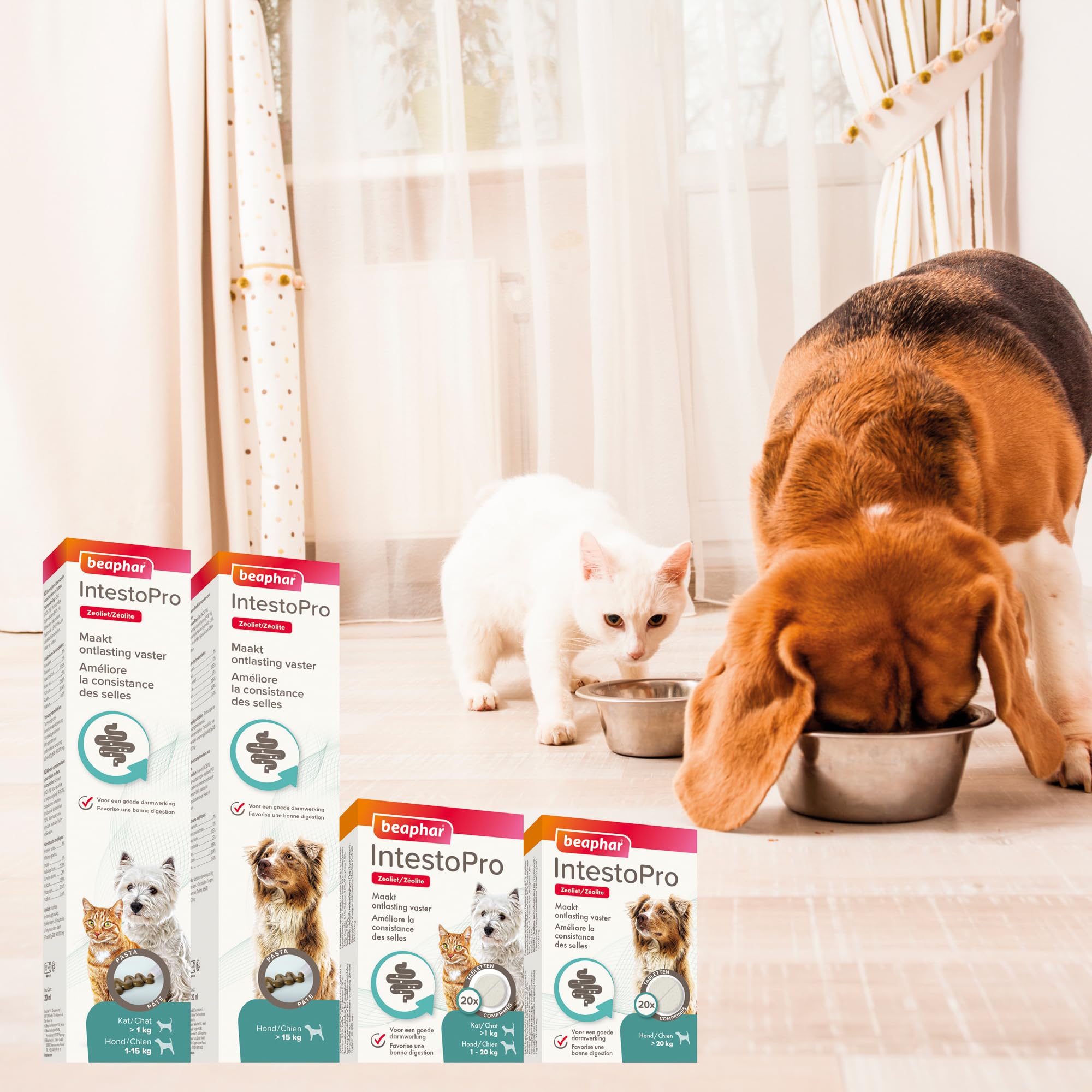 Beaphar Intestopro Pasta Gatti/Cane Fino a 15 kg - Agente digestivo - Pollo 1x 20ml