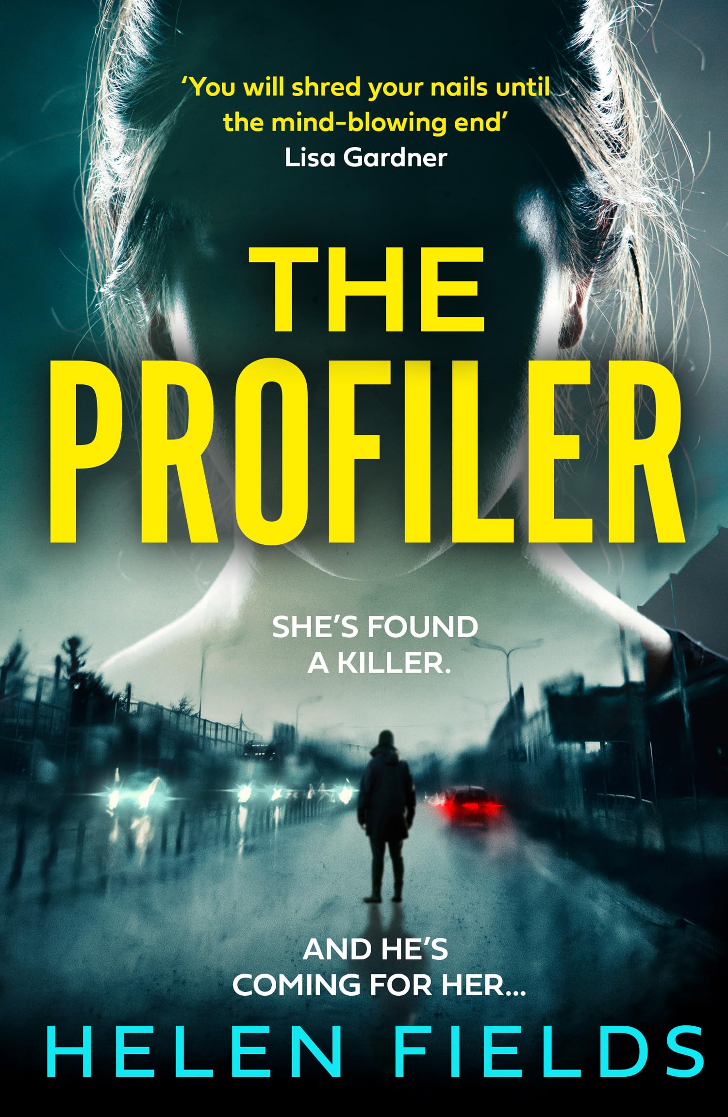 The Profiler: From the million-copy bestselling author comes a brand new heart-p