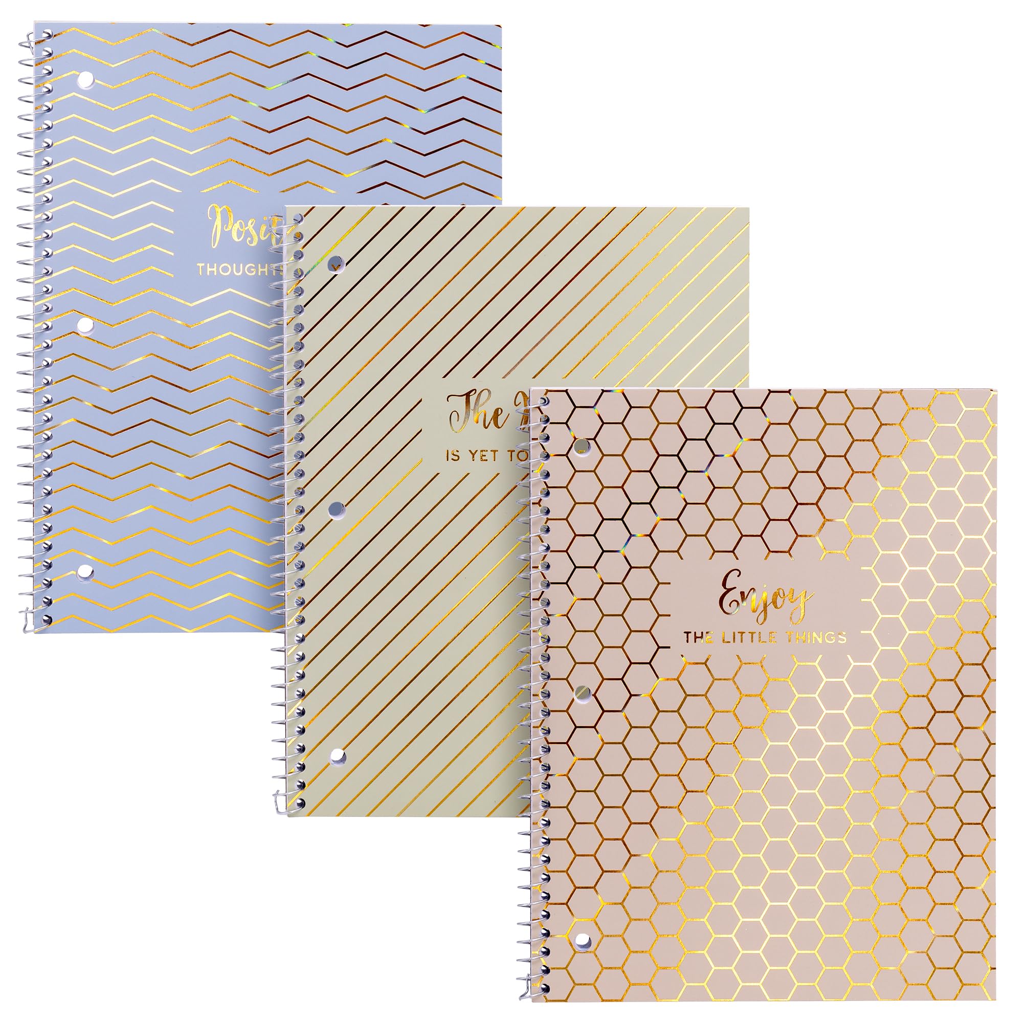 Pukka Pad, Haze Notizbücher mit Spiralbindung, 100 Seiten, 3-fach gelocht, 80 g/m², liniertes Papier mit perforierten Kanten, 26,7 x 20,3 cm, 3 Stück