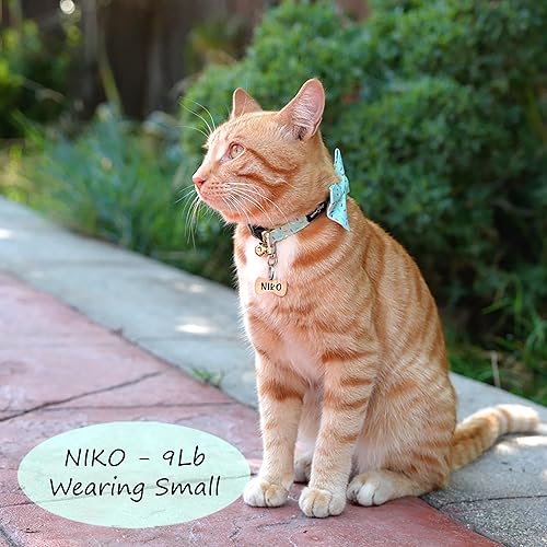 Miniatura 6 de Ultra Joys Etiqueta de identificación para perro, etiqueta de identificación personalizada para mascotas para perros y gatos, etiquetas de perro