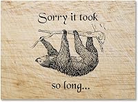 Small World Greetings Sloth 'Sorry It Took So Long' Cards, 12-Pack Blank Inside with Envelopes, A2 Size for Belated Apologies & Thank Yous