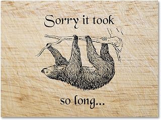 Small World Greetings Sloth 'Sorry It Took So Long' Cards, 12-Pack Blank Inside with Envelopes, A2 Size for Belated Apologies & Thank Yous