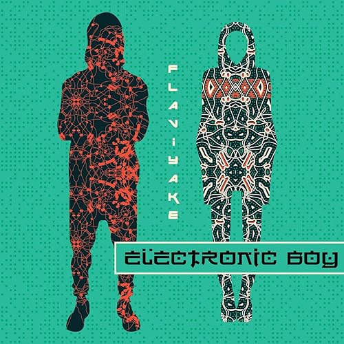electronic boys