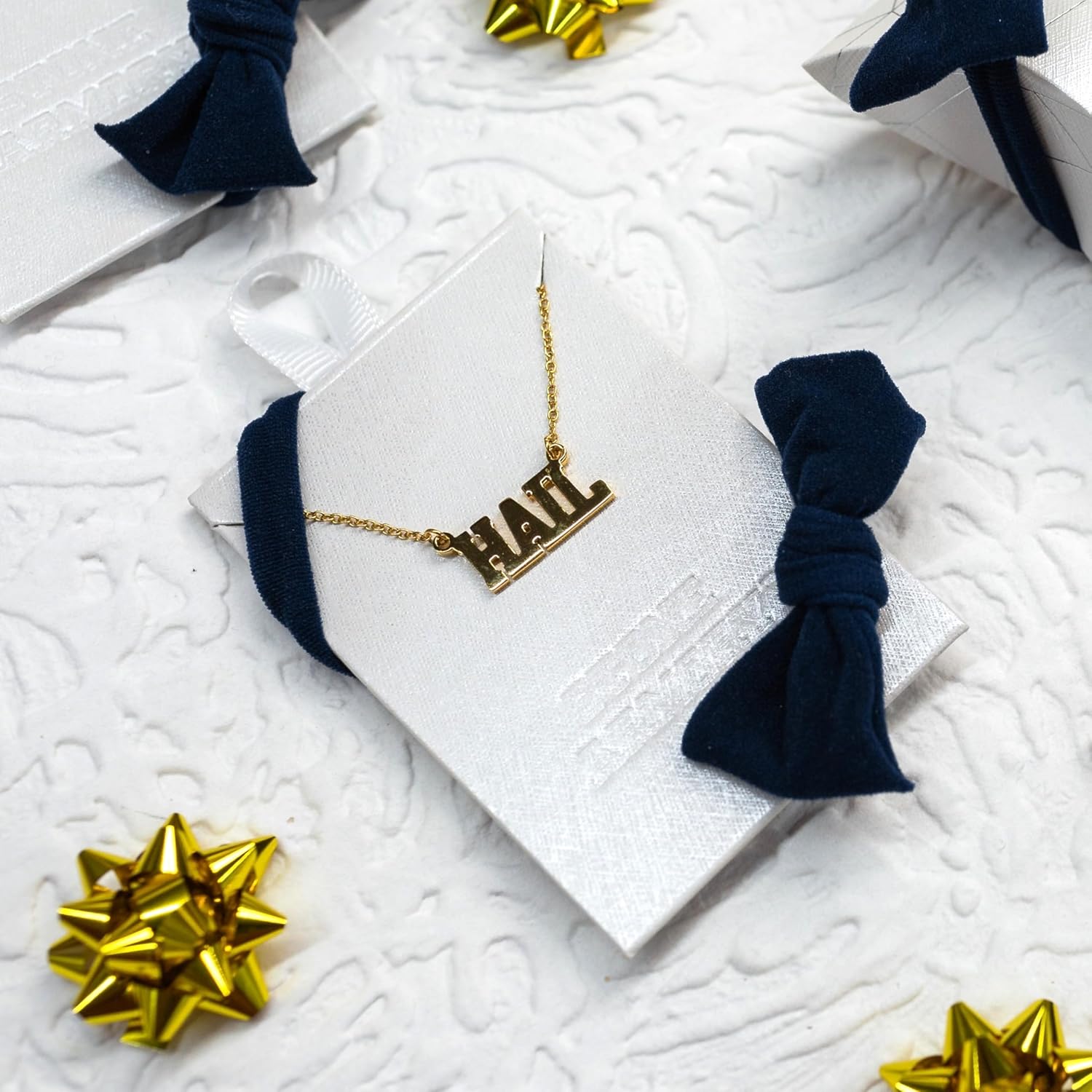 Stone Armory Michigan Wolverines Jewelry - 18K Gold Plated HAIL Necklace - Hypoallergenic and Adjustable 16-20in - University of Michigan Gifts for Women - Image 7