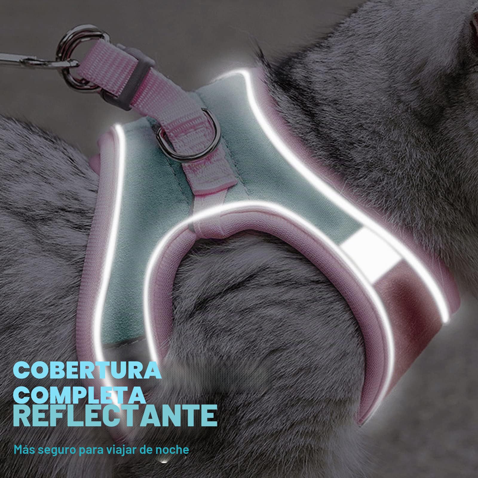PETCUTE Arnes para Gatos Antiescape con Correa,Arnés Gato a Prueba de Escape con Tira Reflectante,Transpirable Cómodo,Chaleco de Seguridad para Gatos Cachorros