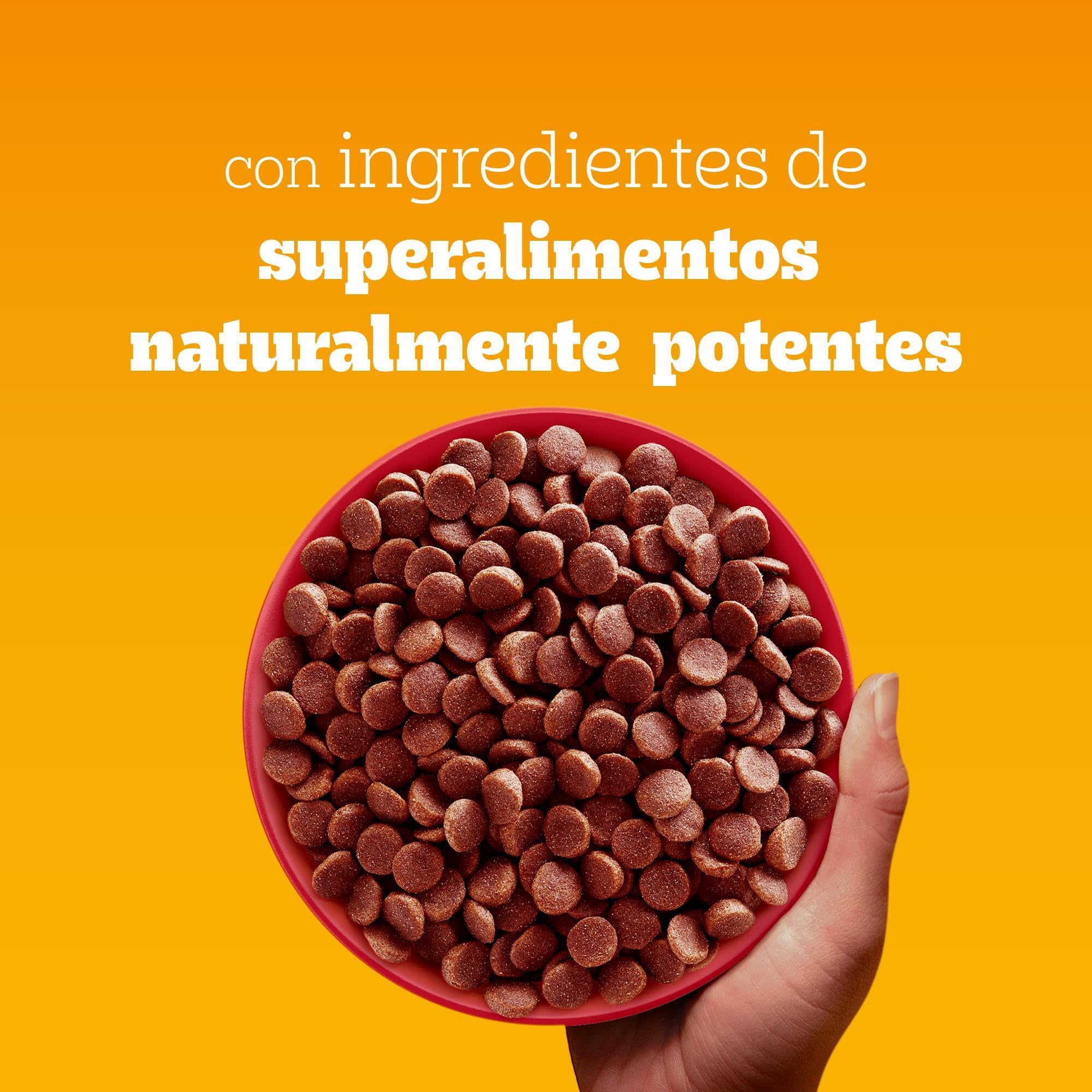 PEDIGREE Complete Comida Perros Pequeños y Mini Adult Buey Verduras (Pack de 6 x 1,4kg)
