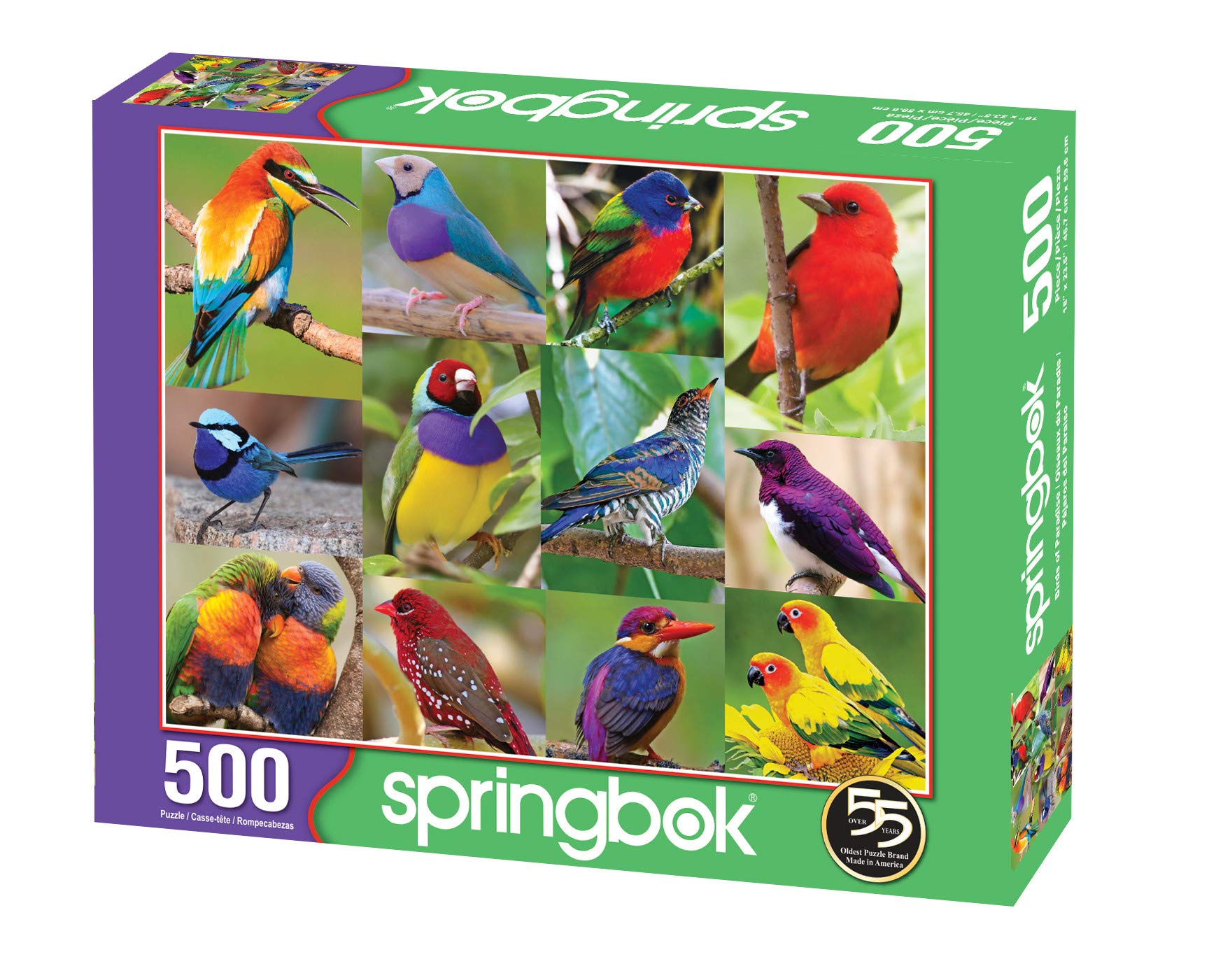 Springbok 500ピース ジグソーパズル バーズ オブ パラダイス Amazon.com: Springbok's 500 Piece Jigsaw Puzzle Birds of