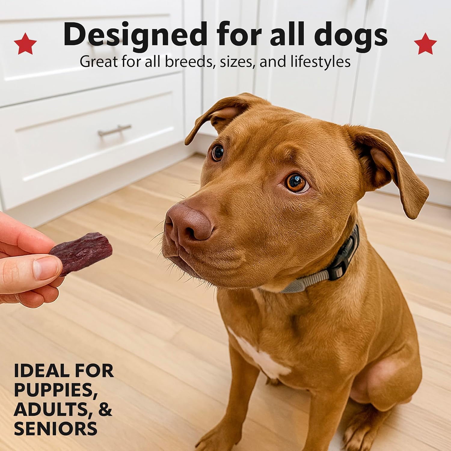 Beef Jerky Bites 8oz - Natural Meat Dog Treats & Chews, 100% Beef Protein, No Fillers or Byproducts, Whole Muscle Meat, Ideal for Puppies to Seniors