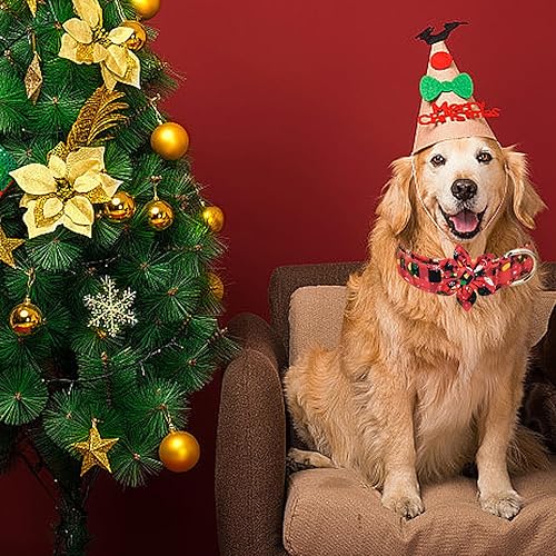 Miniatura 3 de Collar de Navidad para perro, lazo de flores, collar de perro con patrón de calcetín de Papá Noel, cómodo collar ajustable para cachorros con