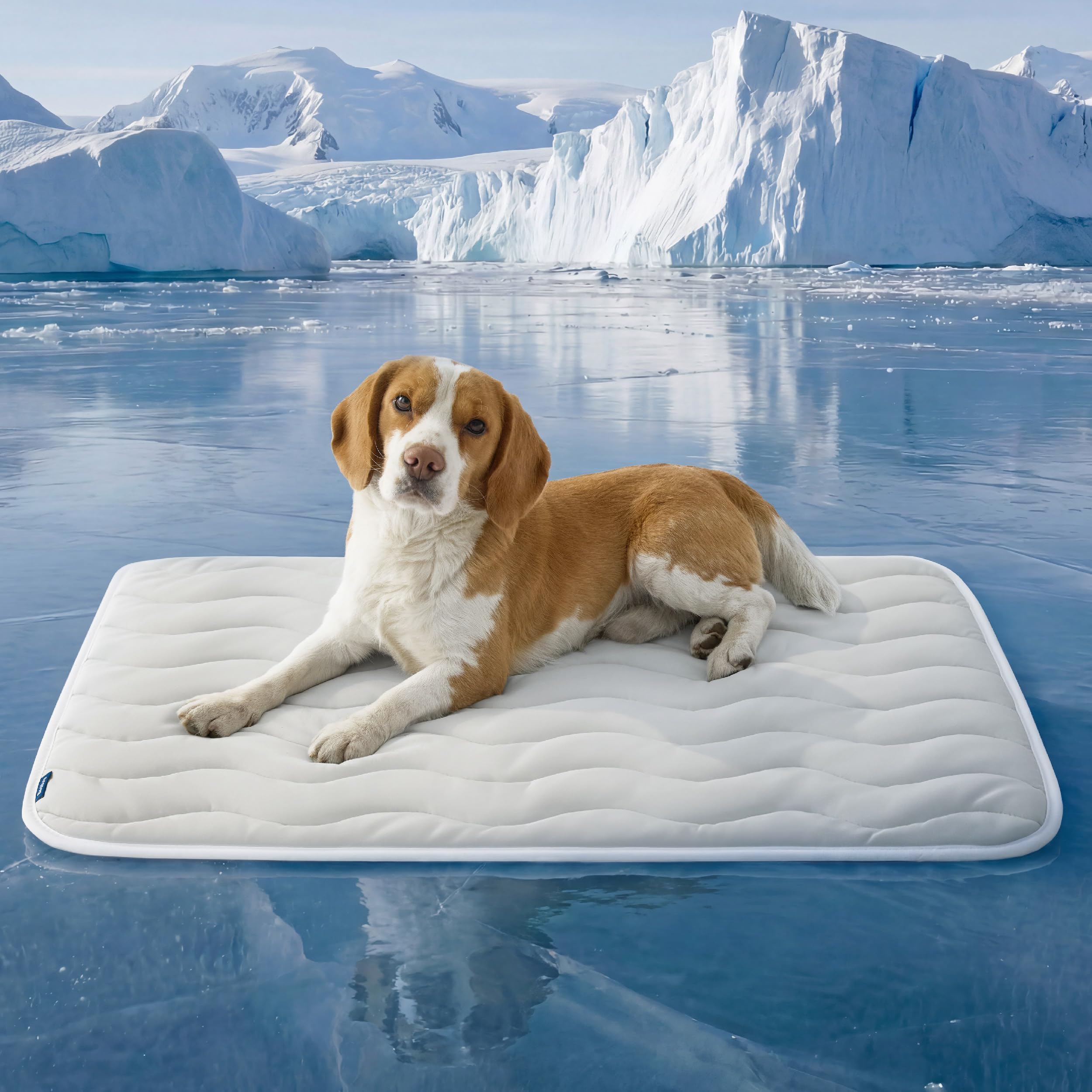 Photo 1 of Bedsure Cooling Mat for Large Dogs