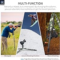 Vista 30 de Trípode de Fibra de Carbono - INNOREL RT75C Sin Cabeza de Bola Trípode Super Profesional Monopié Resistente Trípode Compacto Soporte de Stand