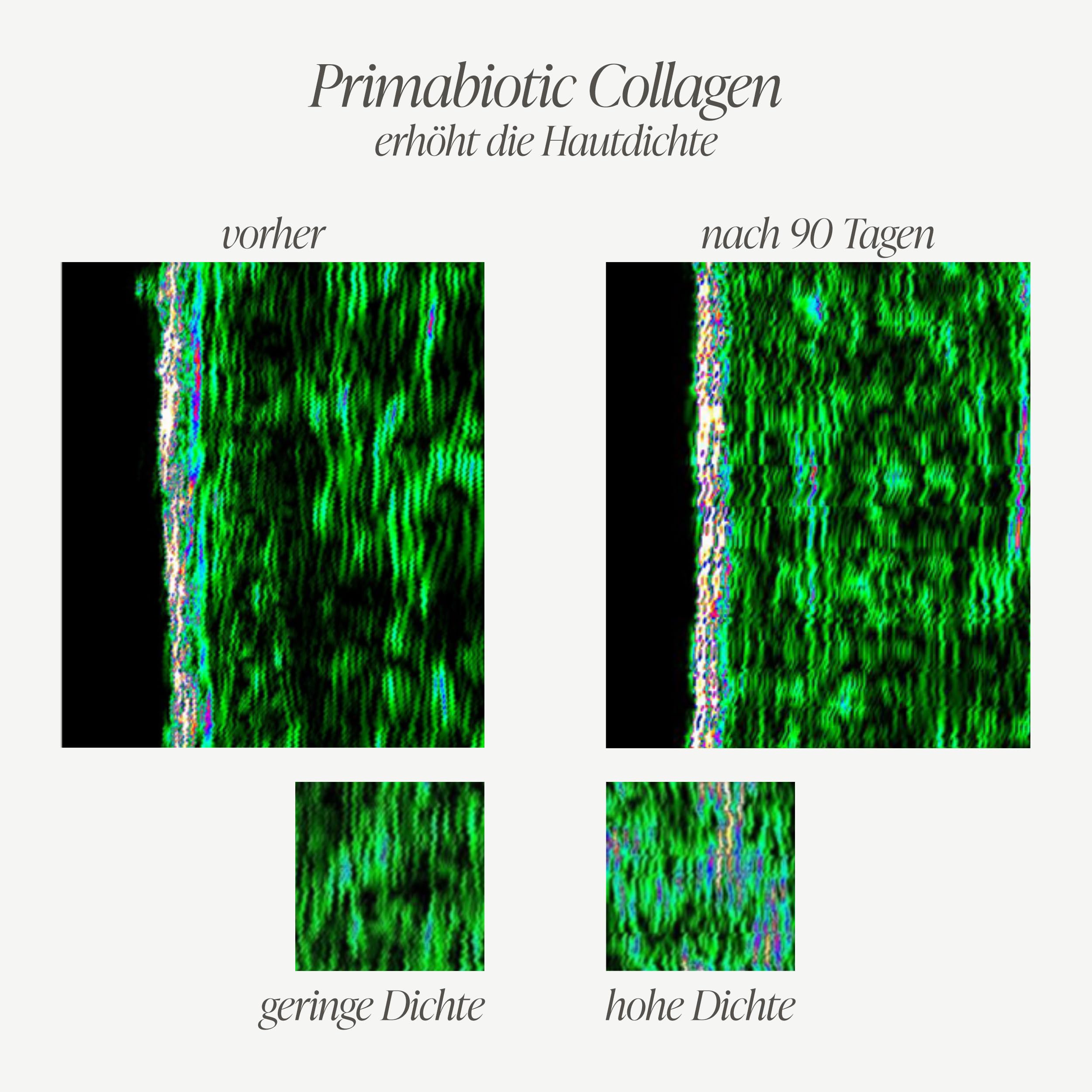 Kollagen Trinkampullen – Primabiotic Collagen Peptide 10000 mg | 60 Ampullen à 30 ml (1800 ml) | Flüssiger Beauty Drink in Premium-Qualität | 95% Absorption | Für Haut, Haare & Gelenke