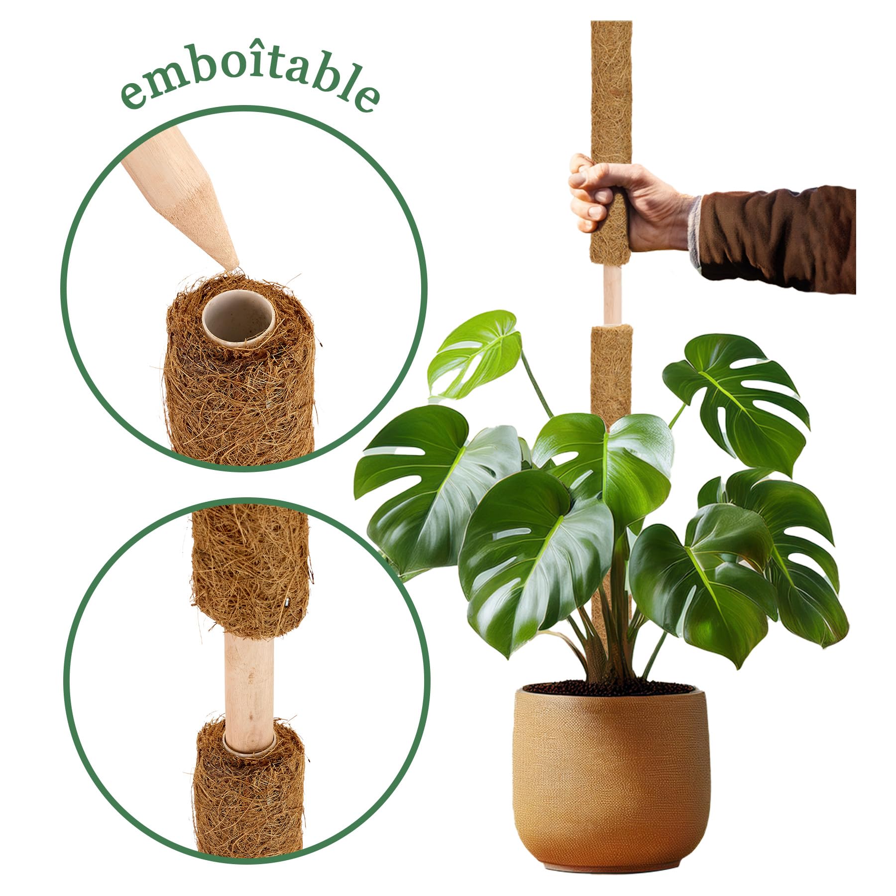 La cordeline Lot 10 Tuteurs Plante Grimpante 60cm, Support Coco Naturel, Extension tuteur pour Monstera, Jardin, Plante Maison, Marron