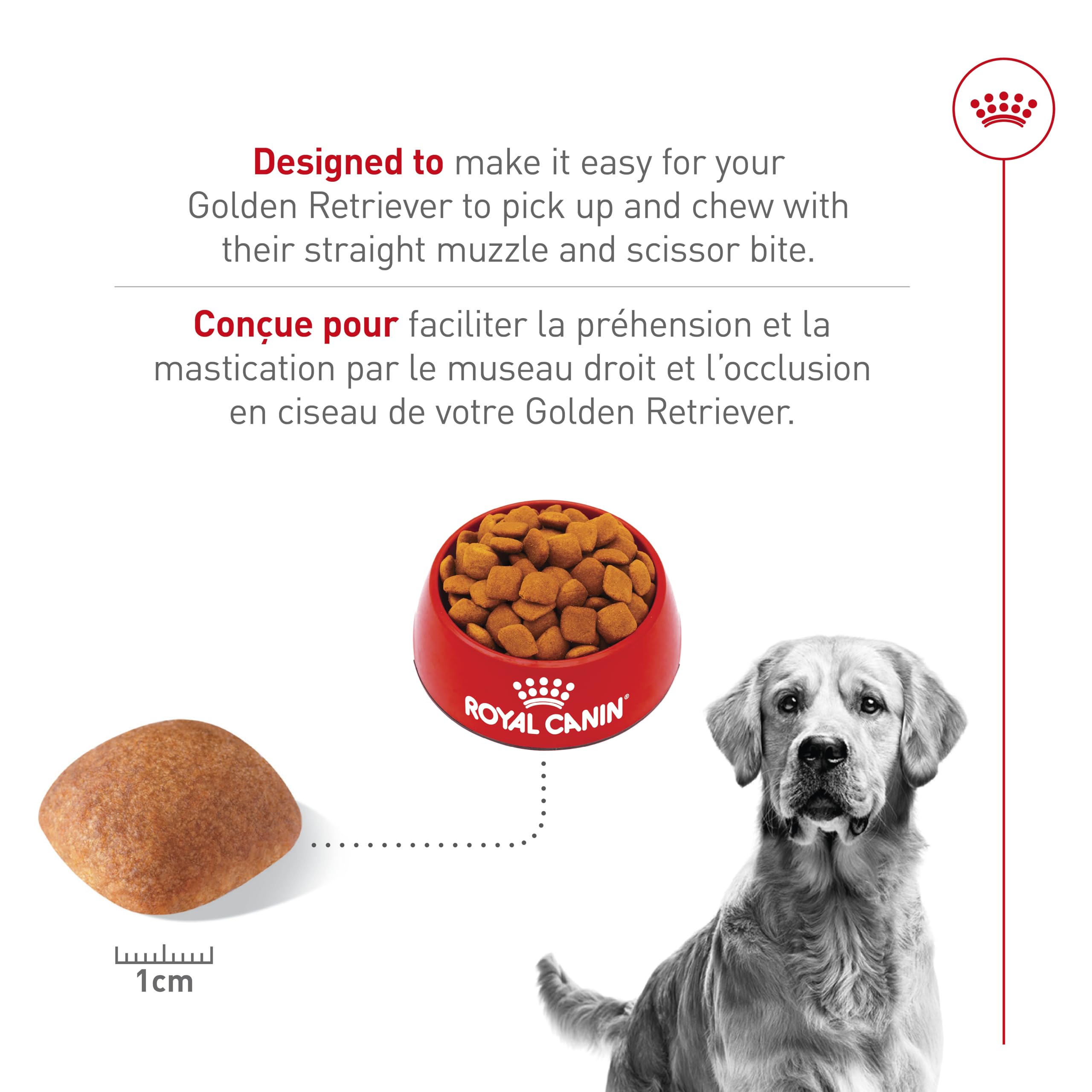 Royal Canin Golden Retriever Nourriture sèche pour chien adulte