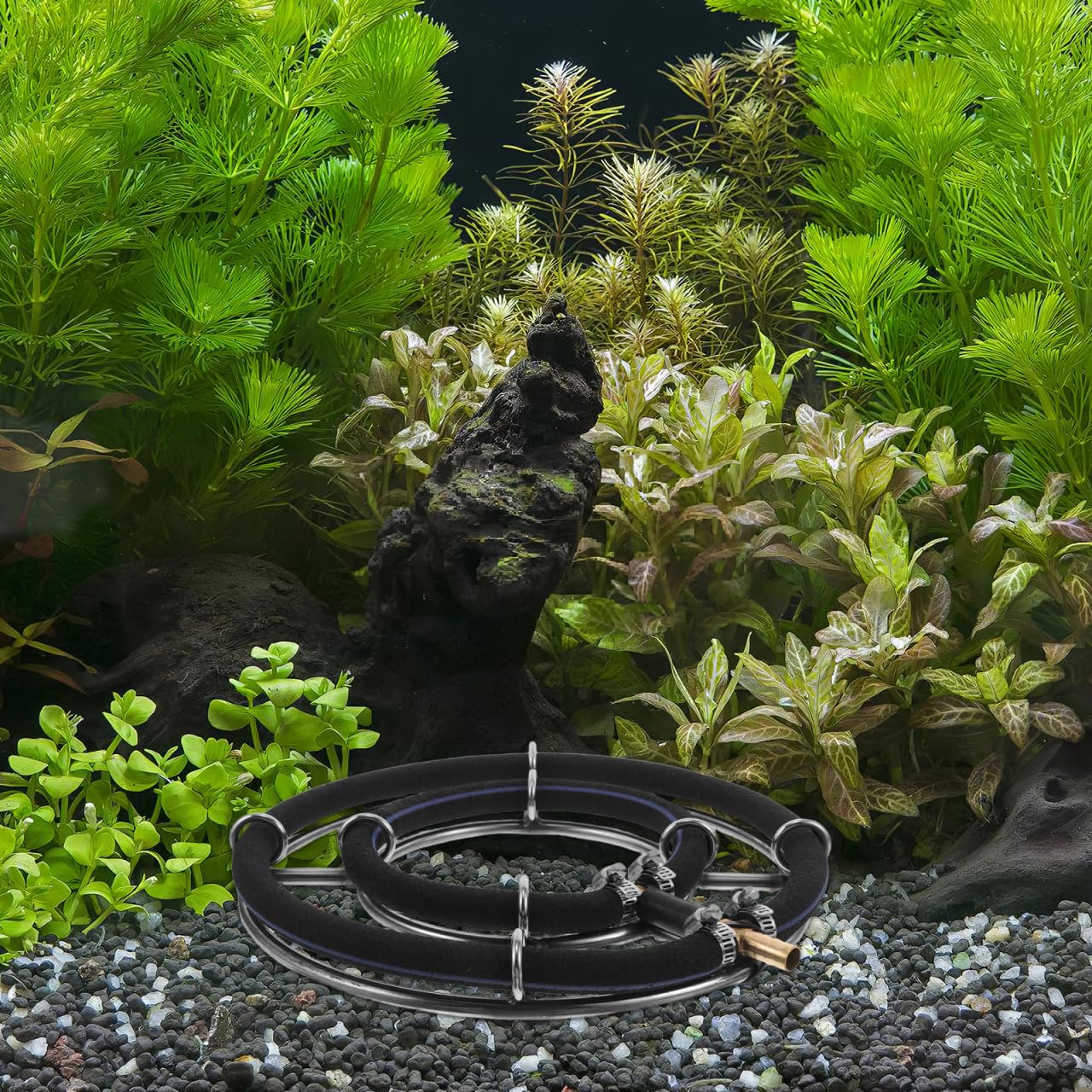 FRCOLOR Diffuseur d'oxygène pour aquarium, pierre à bulles, pompe à air, accessoires en acier inoxydable, double anneau de 25 cm, disque à bulles nano pour aération d'aquarium et d'étang