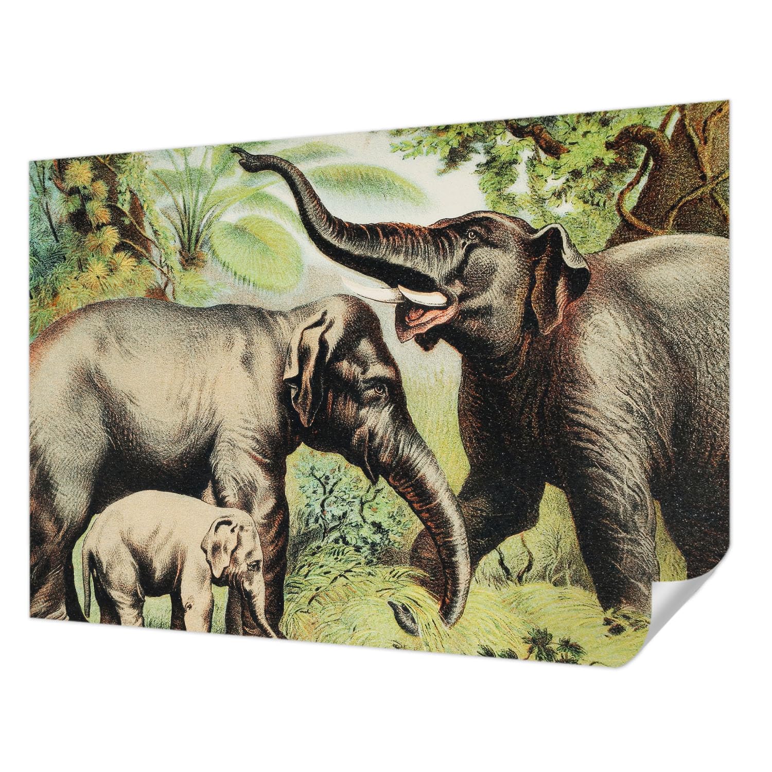 Papier peint photo autocollant pour chambre et salon au motif d'éléphants