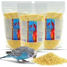 Morning Bird Hulled Millet 4.5 lbs 3-Pack, 1.5 lbs Each Nutritious Hulled Millet Seed - Easily Digestible with High Fiber, Rich in Vitamins & Minerals for Birds, Ideal Bird Feed for All Bird Types
