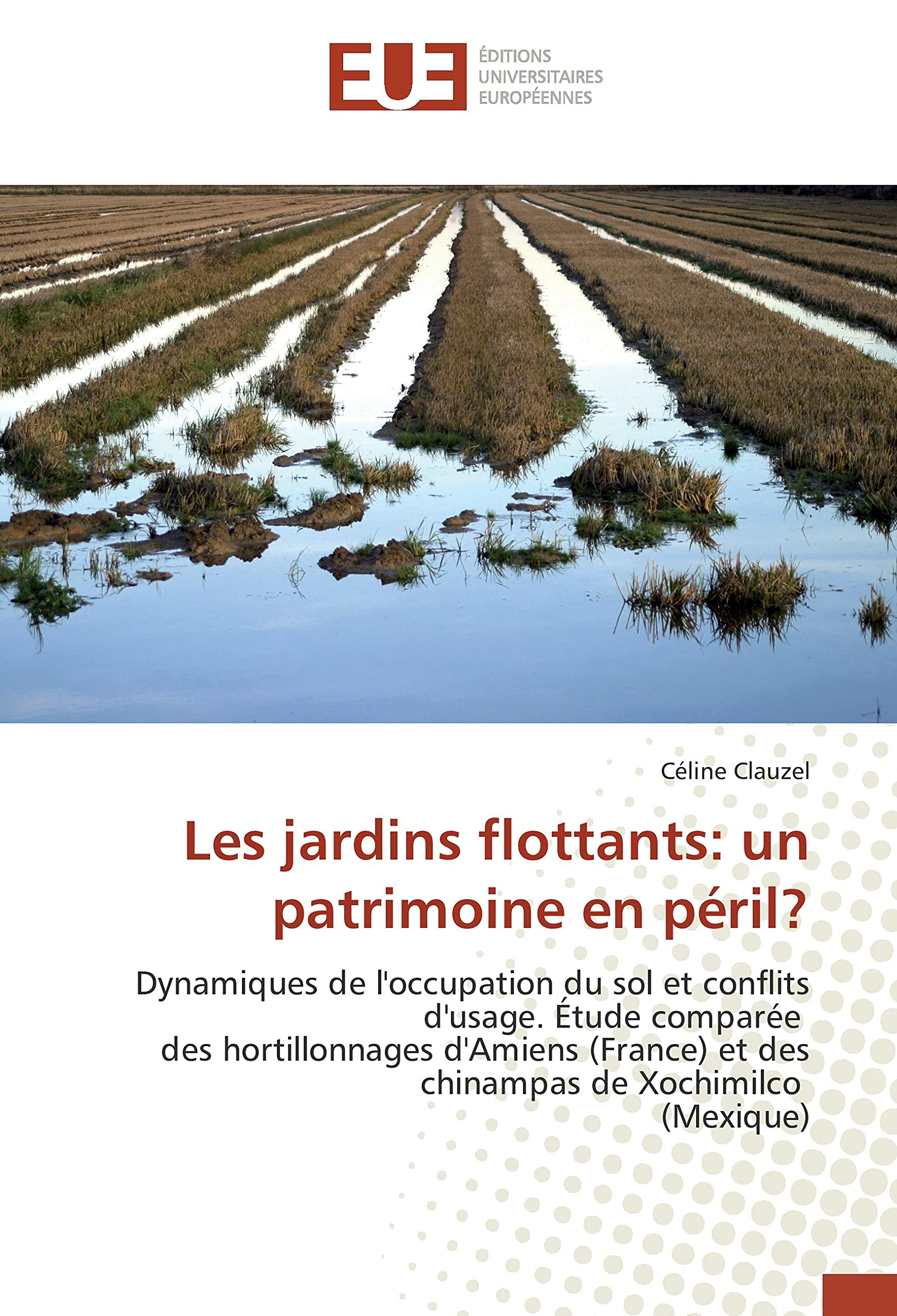 Hortillonnages d'Amiens : comprendre un patrimoine en péril face à la ville