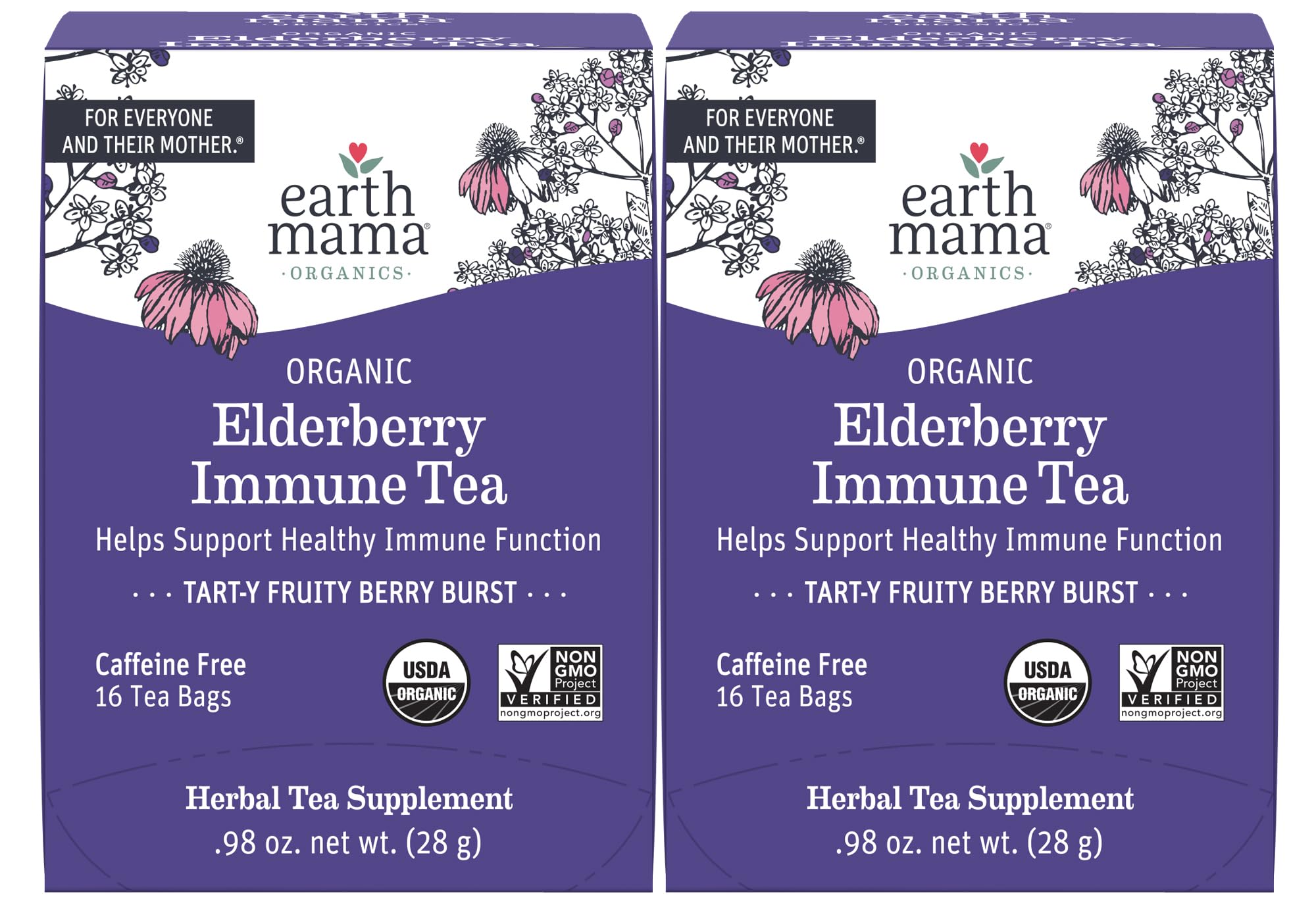 Earth Mama Organic Elderberry Immune Support Tea with Echinacea | Safe For Pregnancy, Breastfeeding, Postpartum, Kids and Family Essentials, Decaf Tea with Ginger & Rooibos, 16-Count (2-Count)