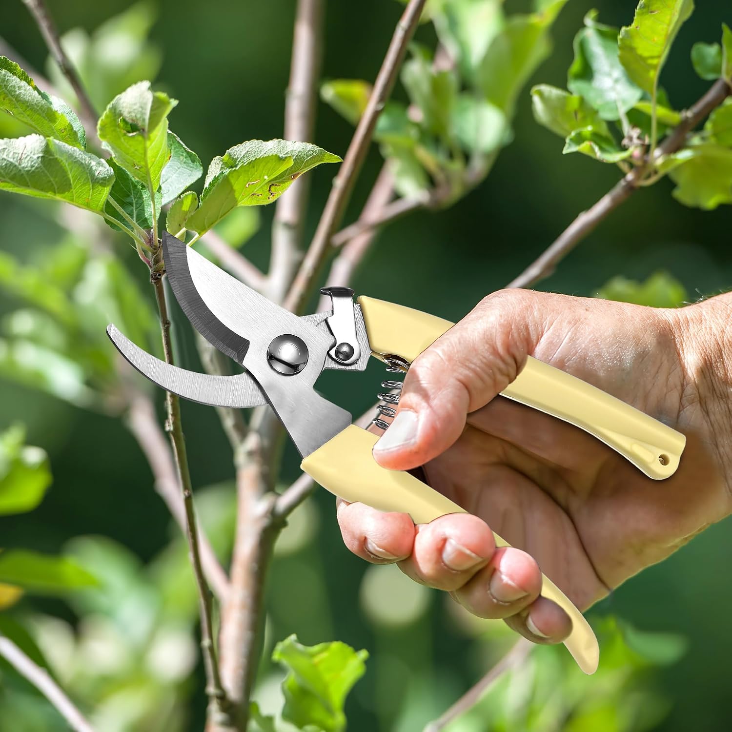 Chumia 6 Pcs Garden Pruning Shears Flower Scissors Handheld Heavy Duty Garden Shears Stainless Steel Clippers for Cutting Flowers, Tree Trimming, Gardening Gifts(Beige) image 3