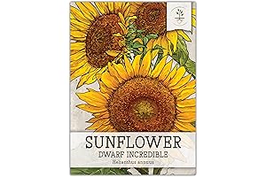 Seed Needs Incredible Dwarf Sunflower Seed Sampler