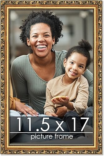 Miniatura 13 de Poster Palooza Marco de fotos de madera tradicional dorado de 19 x 24 pulgadas con plexiglás acrílico UV, respaldo de tablero de espuma y accesorios