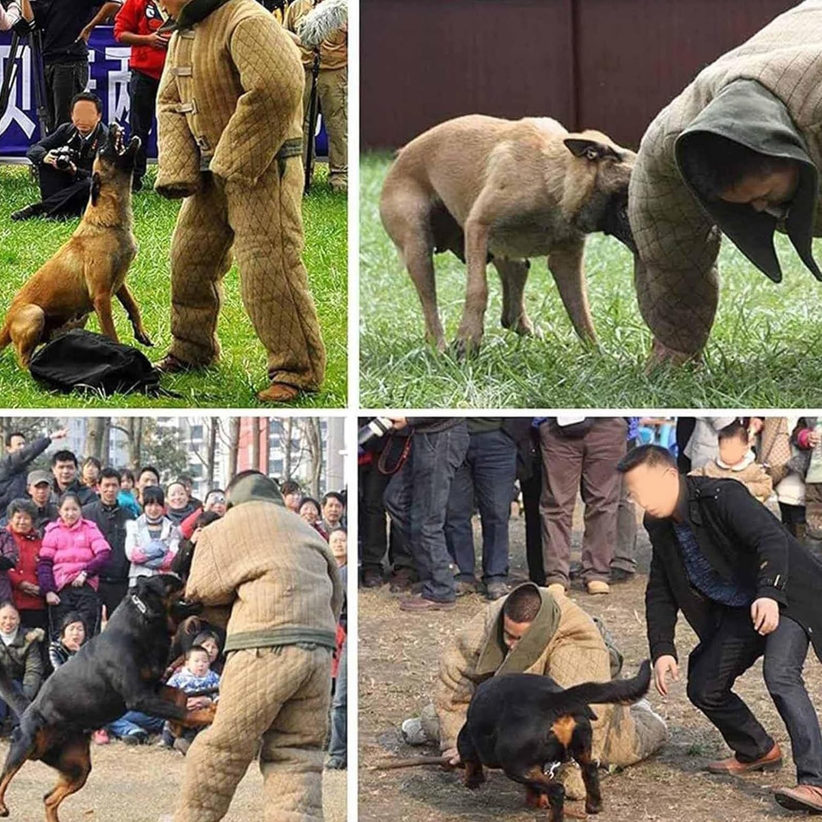 Ropa de adiestramiento para Perros, Ropa Protectora para adiestramiento de Perros, Ropa antimordeduras para adiestramiento de Perros, Chaqueta de Ropa para Perros de policía (Camo)