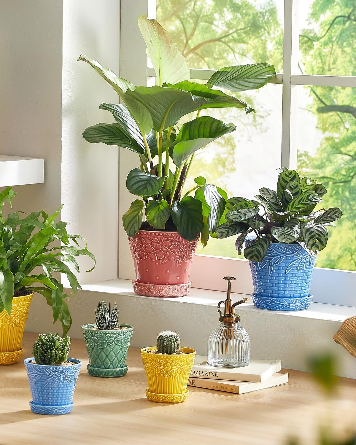 Ceramic Plant Pots, 5.8 Inch Flower Pots for Indoor Plants, Planters with Drainage Hole & Saucer, Garden Planters for Succulent, Orchid, Cactus, Home Decor, Set of 4, Assorted Colors