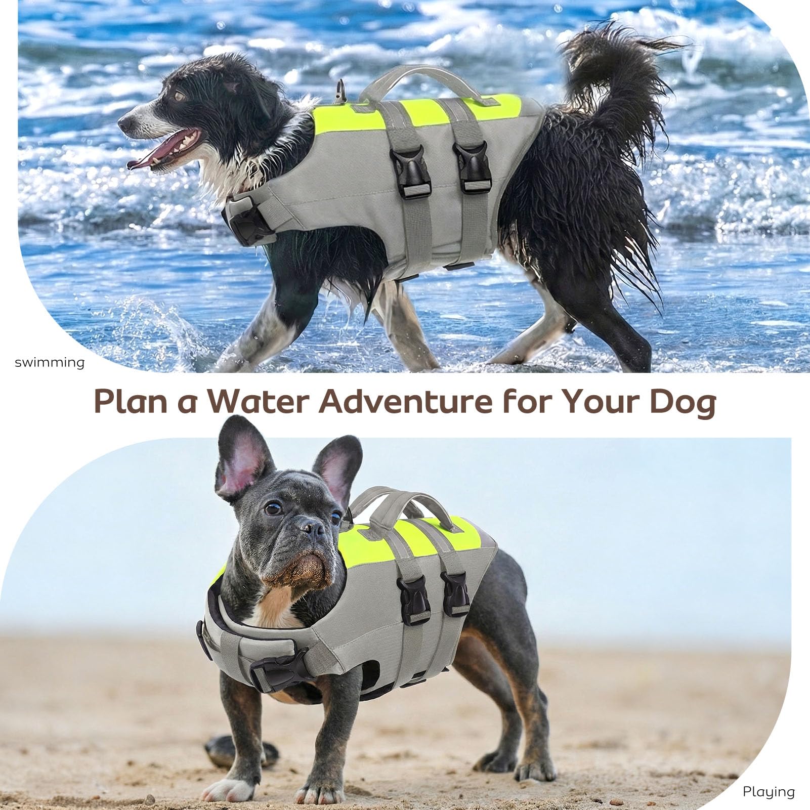 CITÉTOILE Chaleco Salvavidas para Perros con Doble Asa - Chaleco Reflectante Flotante con Asas Reforzadas y Correas Ajustables para Natación, Barco, Gris, XL