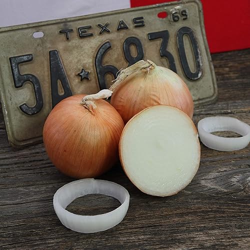 Miniatura 1 de Texas - Semillas de cebolla SuperSweet 35.80 - 0.04 oz  300 semillas - Semillas de jardinería agrícola, polinizada abierta, sin OMG, semillas de