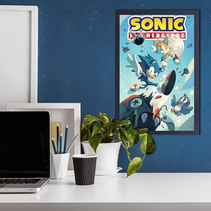 ソニック　ザ　ヘッジホッグ　アートグラフィックポスター US印刷 Amazon.co.jp: ソニック・ザ・ヘッジホッグの飛ぶ鳥 額入り