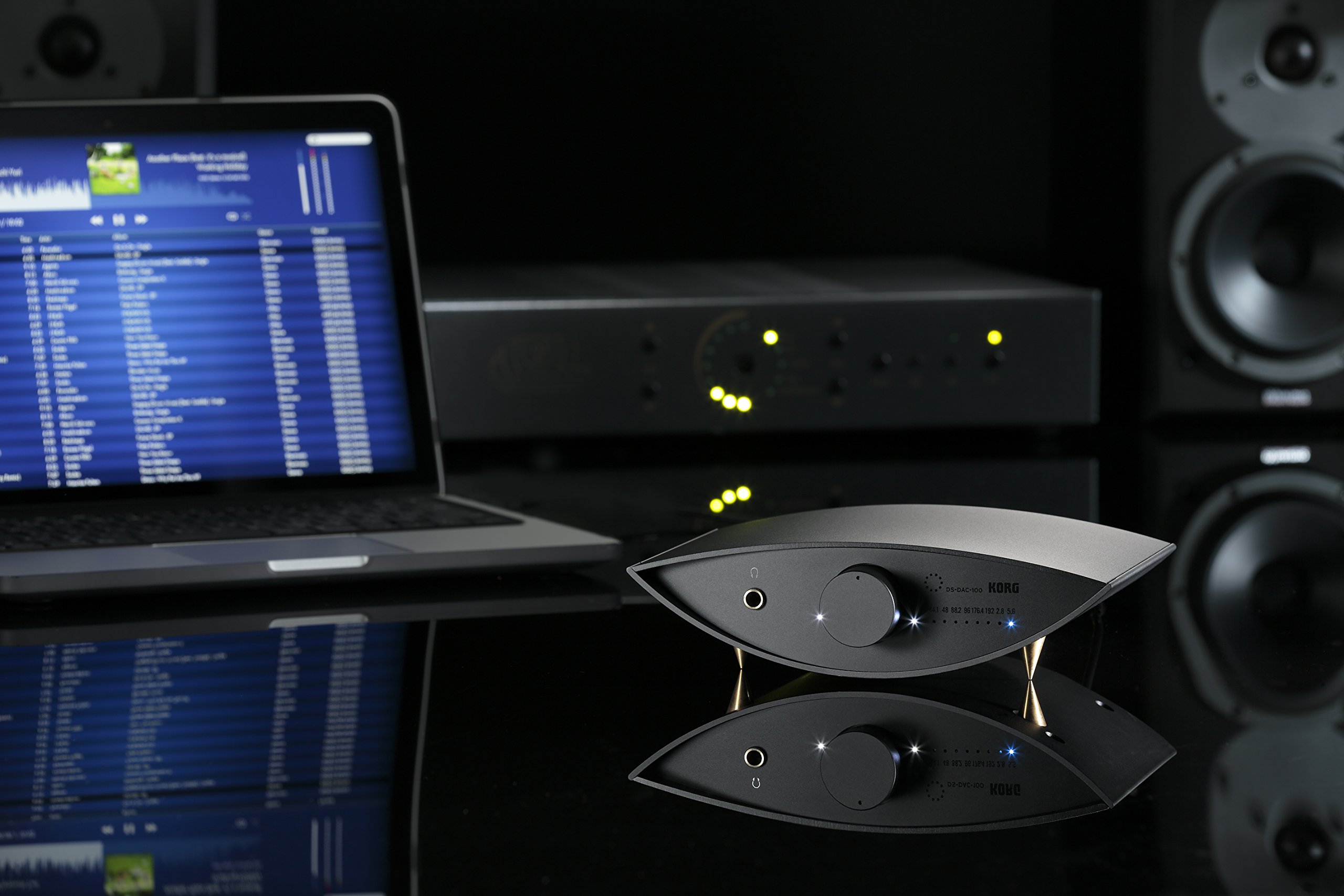 KORG - KORG DS-DAC-100　ヘッドホンアンプ　美品 Amazon.com: Korg DSDAC100 Channel Portable Audio Playback
