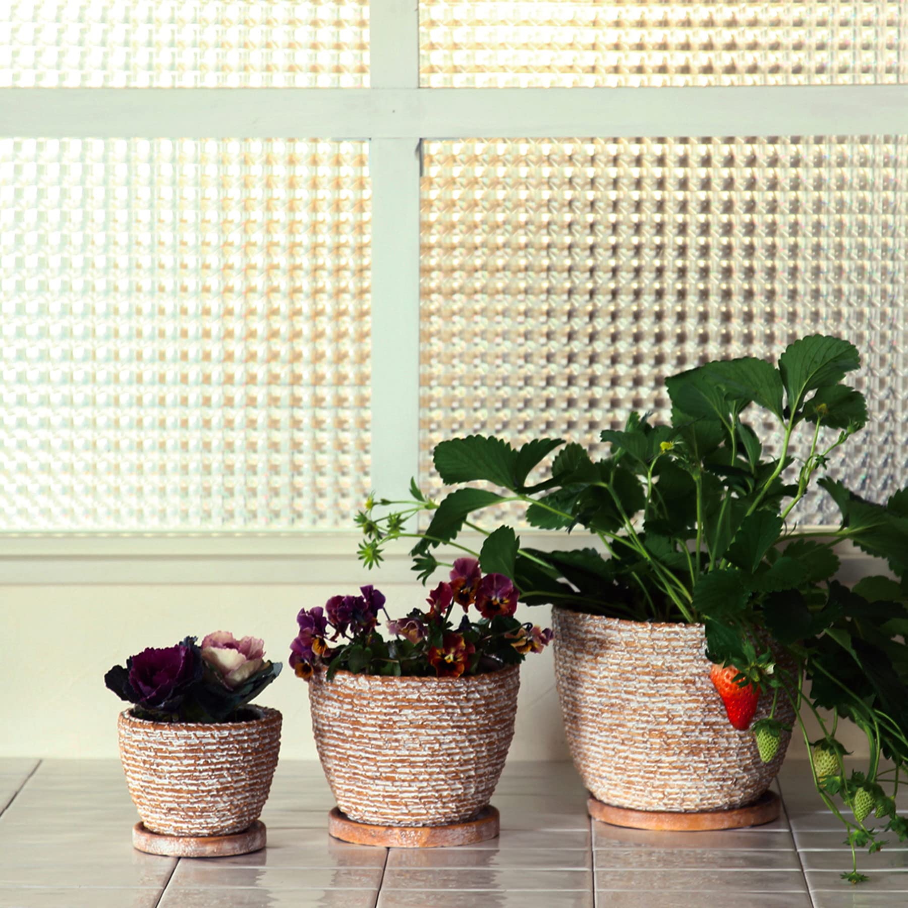 Amazon.co.jp: スパイス(Spice) SPICE OF LIFE 植木鉢 ヴィレッジ