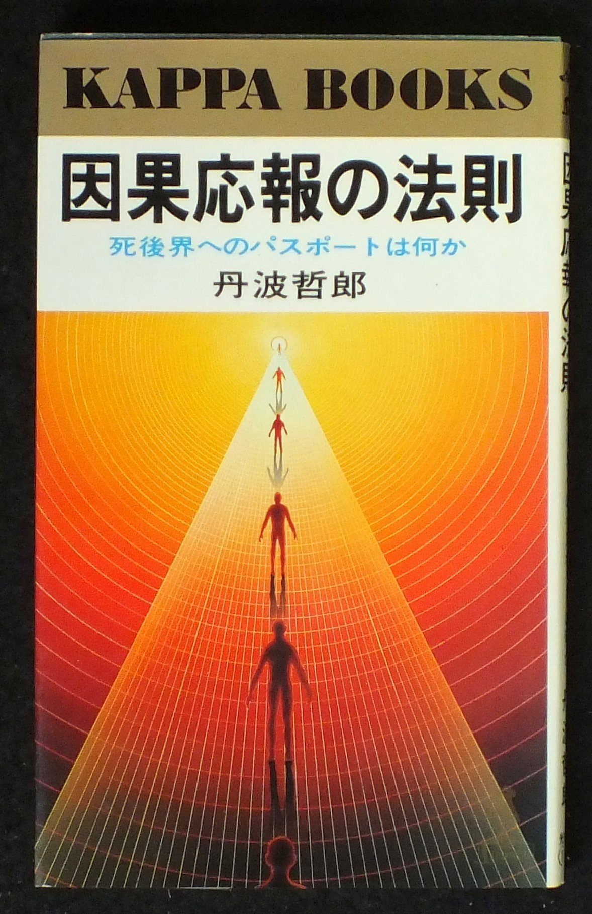 輪廻転生の旅 丹波哲郎著 Amazon.co.jp: 丹波 哲郎: 本、バイオグラフィー、最新アップデート
